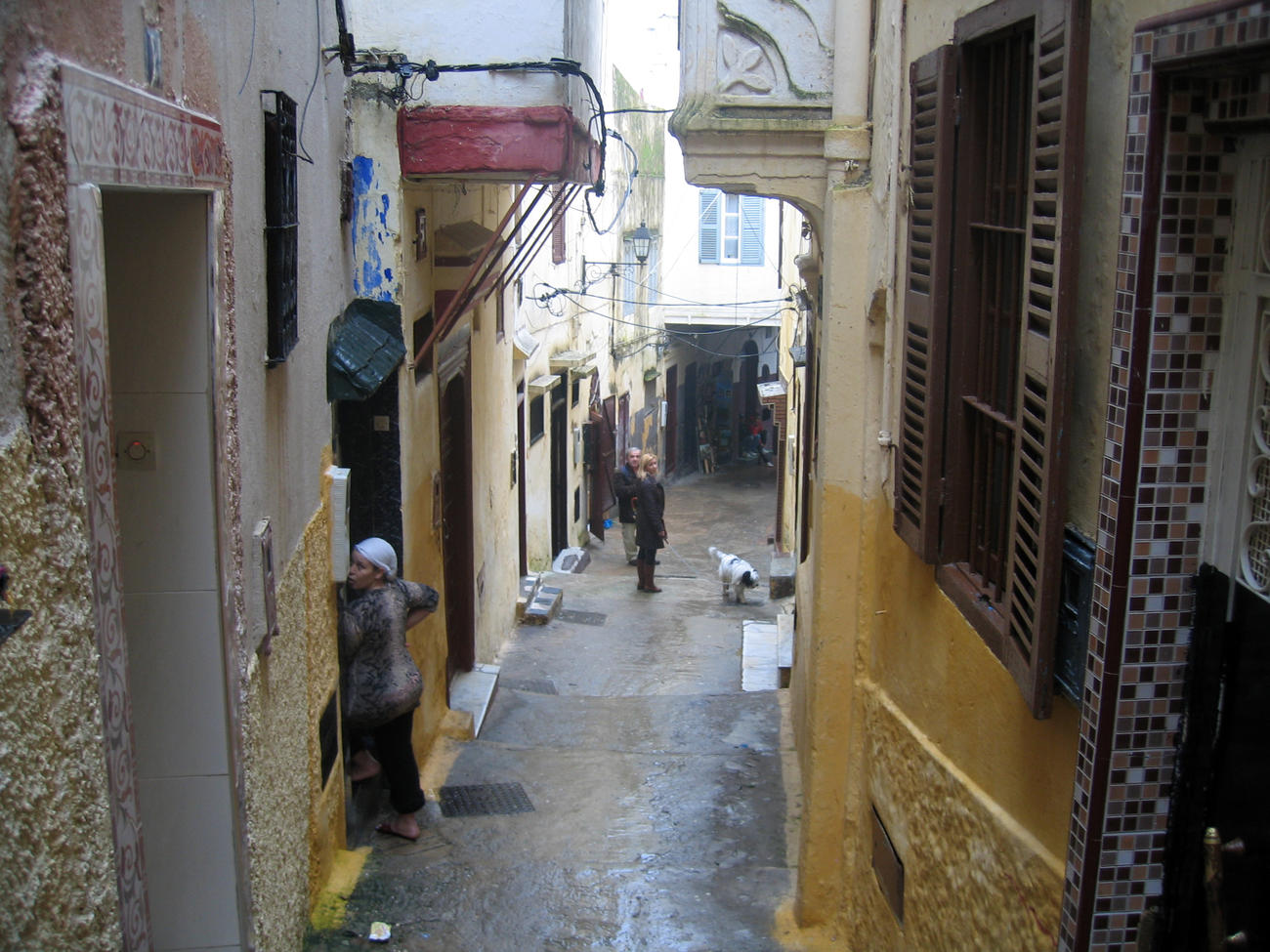 Primavera Berbera Vita Trentina