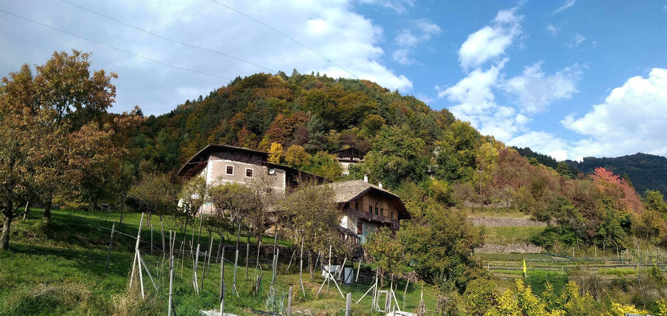 Carbonare frazione di Capriana