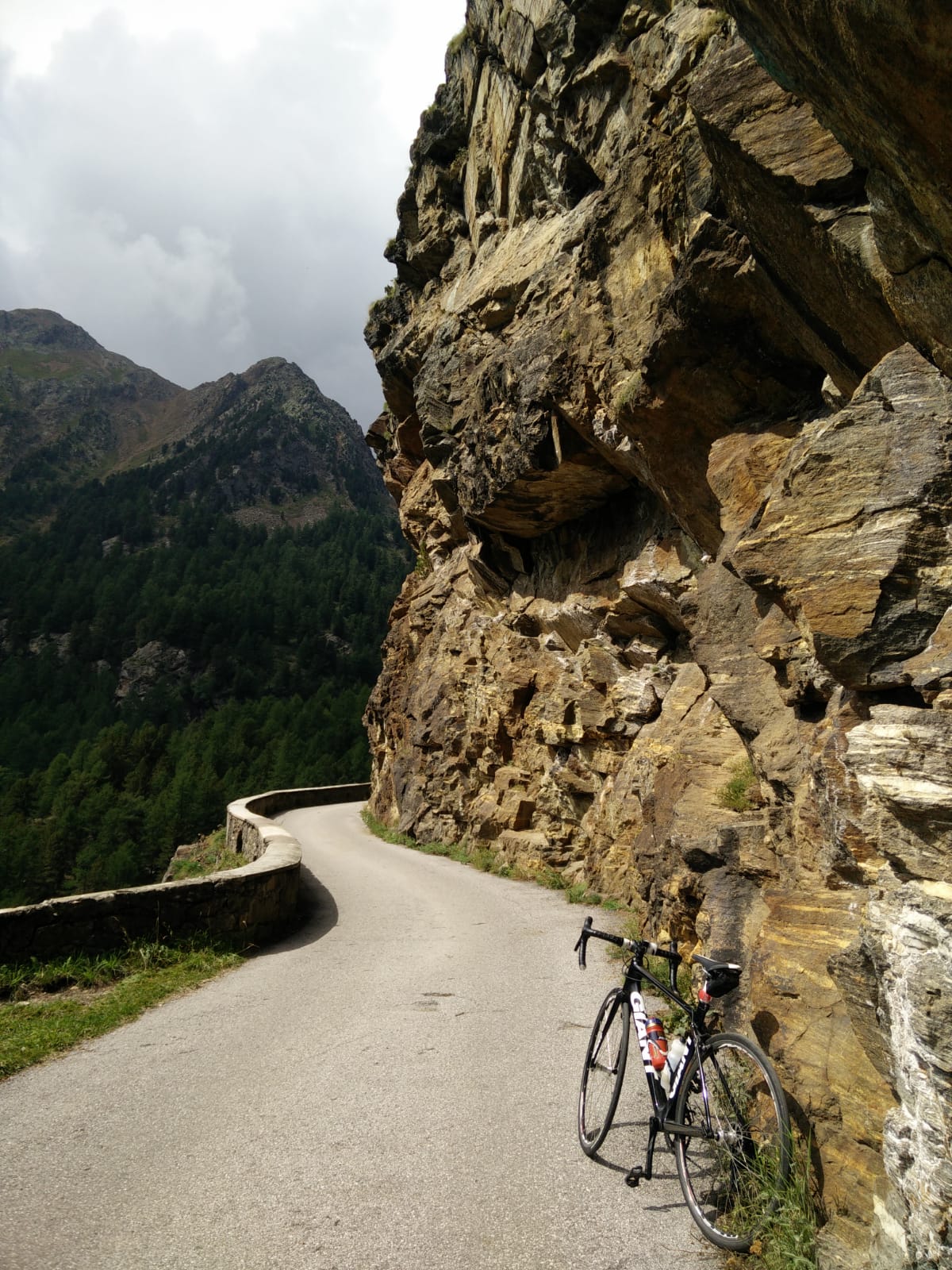 malga mare cogolo di pejo