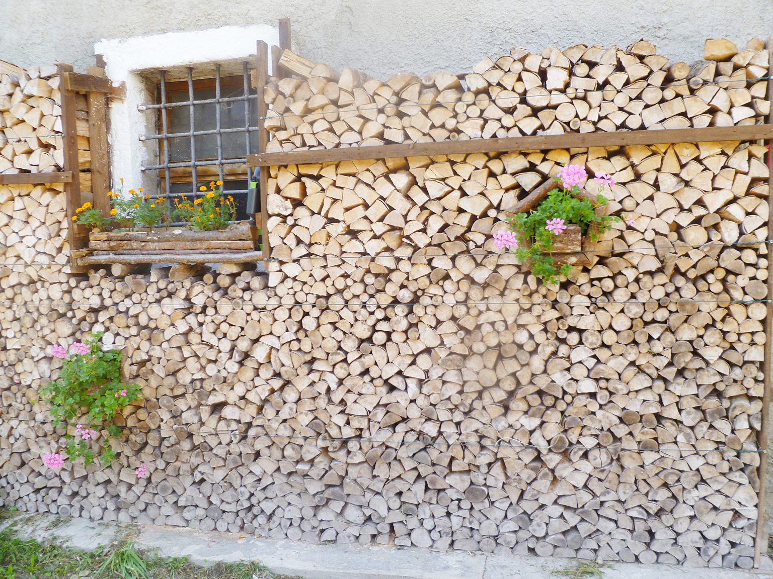 Pinze Da Cucina In Acciaio - Per Pesce E Crostacei