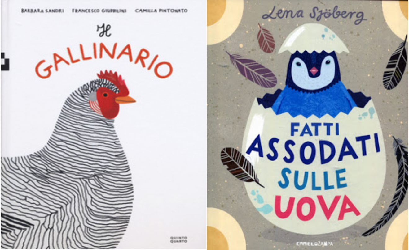 Prima L Uovo O La Gallina È nato prima l’uovo o la gallina? - Vita Trentina