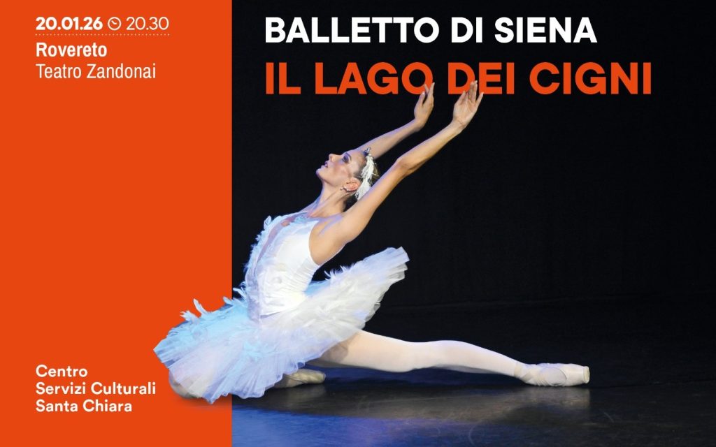 Il lago dei cigni