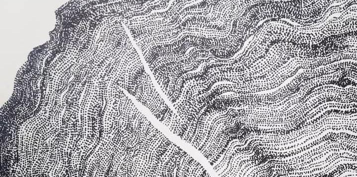 Autoritratto in forma di anelli d’albero