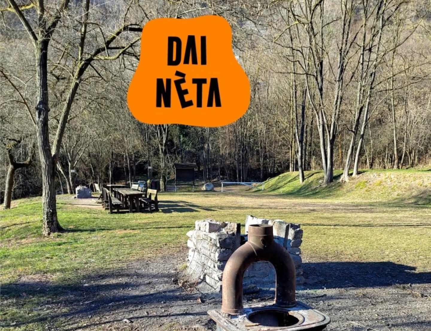 Dai neta