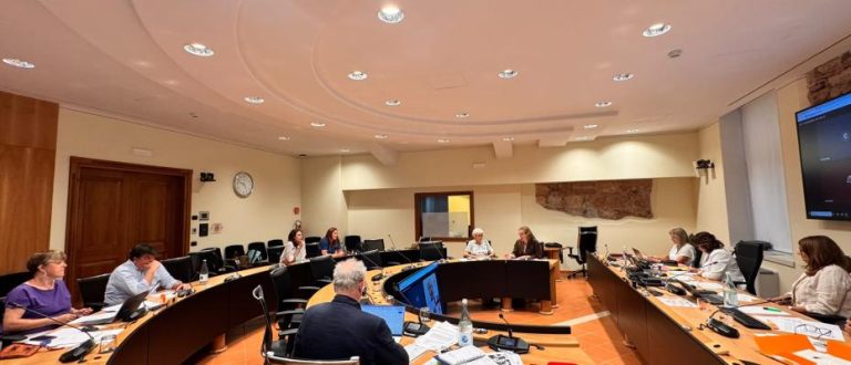 Fine vita, la Quarta commissione ascolta il presidente della Pontificia Accademia per la Vita