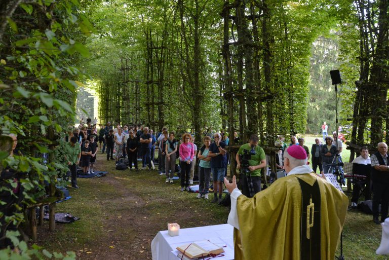 Tempo del Creato: i prossimi appuntamenti in Diocesi di Trento